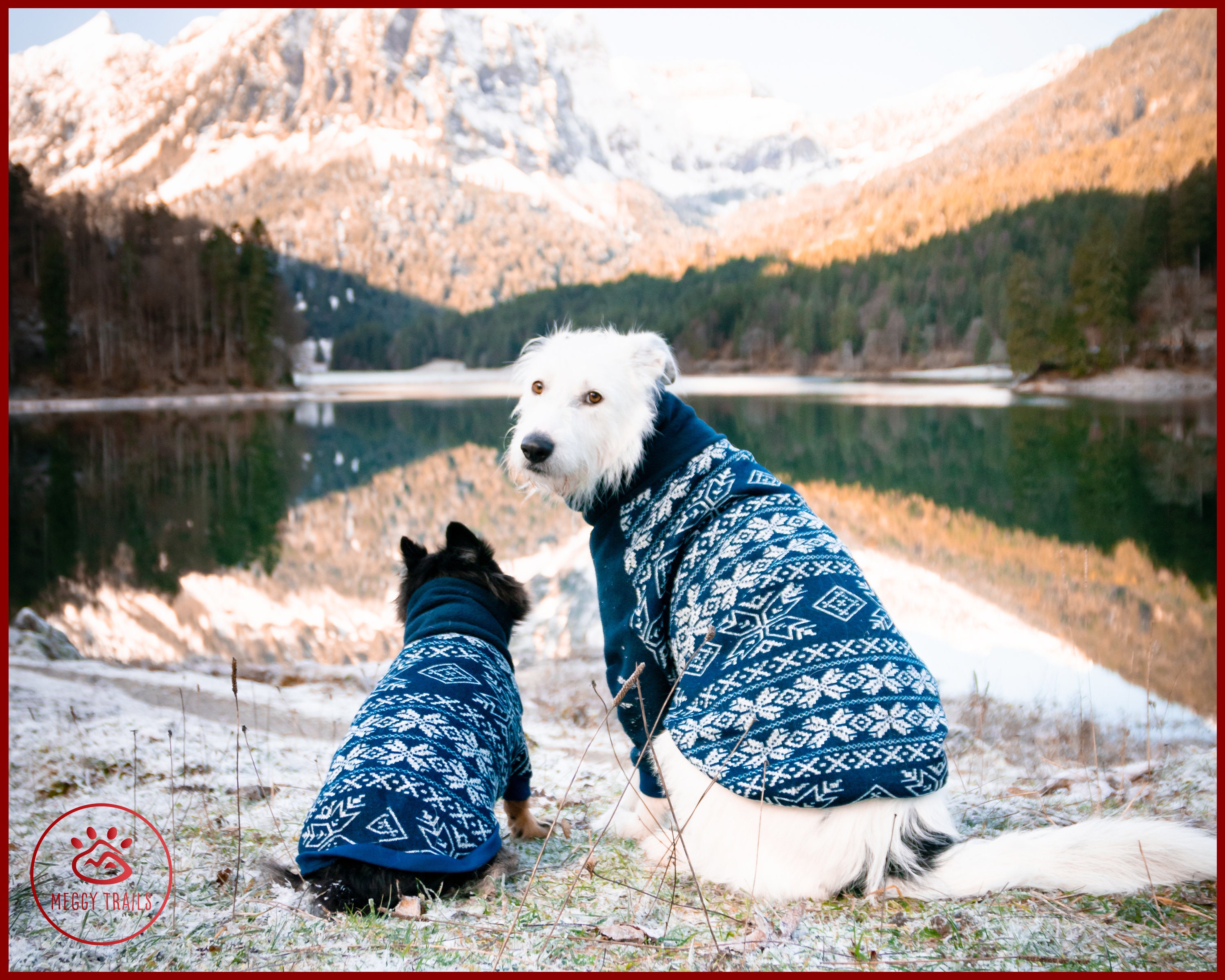 DOG WARM SWEATER Custom Dog Clothes 
