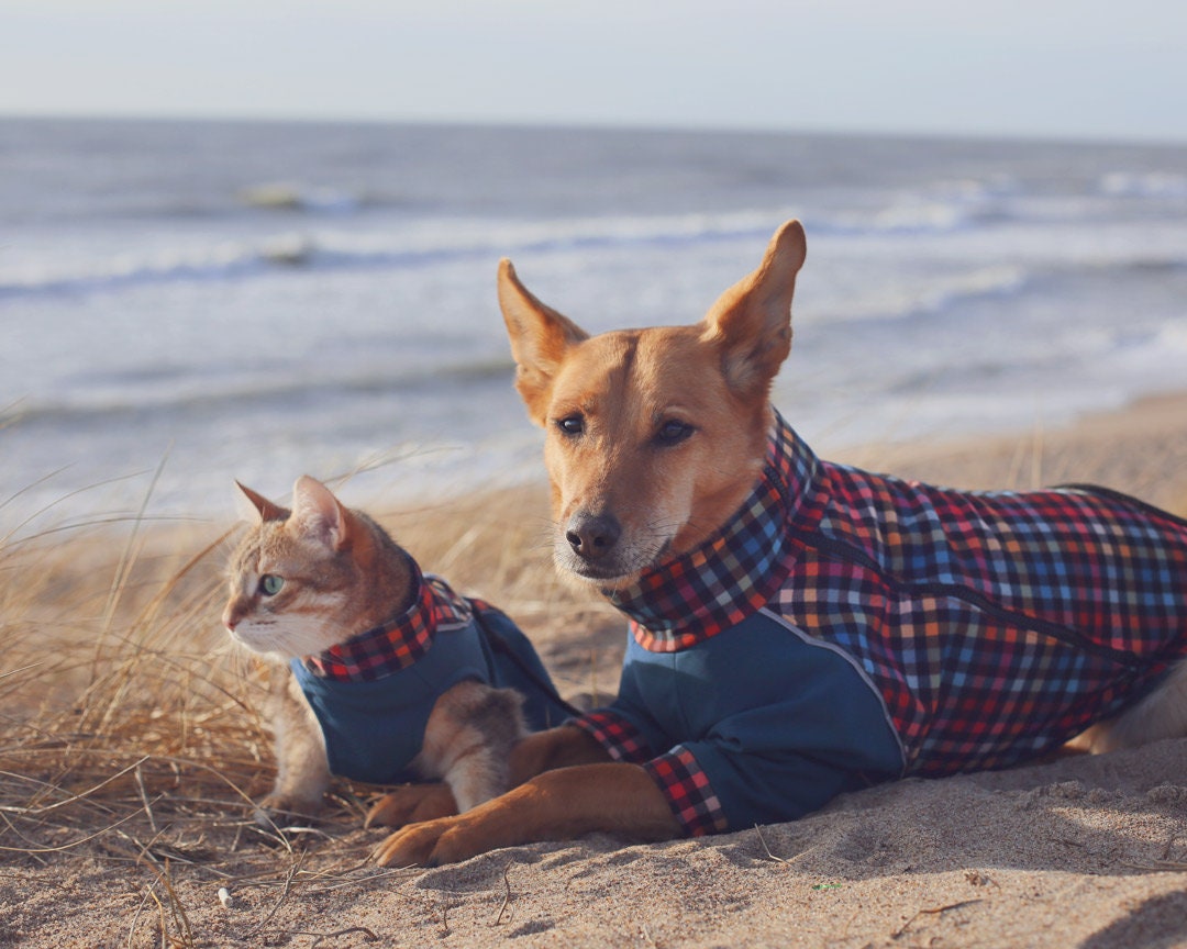 Warmer Hundemantel Mit Fleece-futter, Softshell-winterjacke Für Hunde,  Maßgeschneiderte Kleidung Für Hunde - Etsy Israel