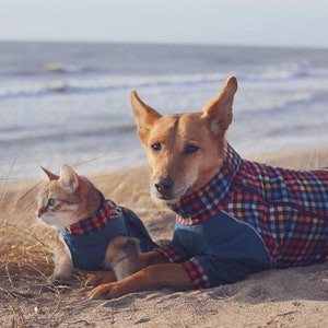 Warmer Hundemantel mit FLEECE-Futter, Softshell-Winterjacke für Hunde, maßgeschneiderte Kleidung für Hunde