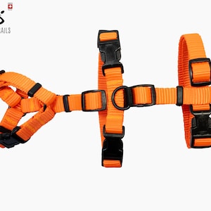 ESCAPE proof CAT HARNESS, Adjustable safety adventure cat harness, Y Front H Style cat training harness, travel cat gear image 3