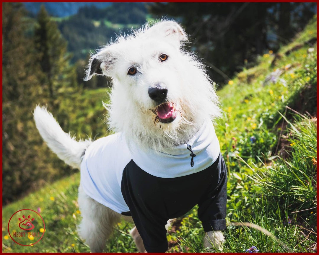Dog Summer Shirt, Dog Tank Top, Dog Sun Blocker, Sun