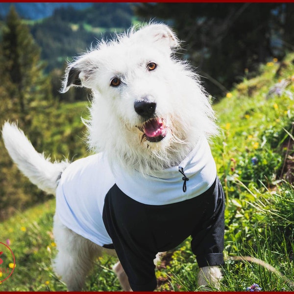 Dog summer shirt, dog tank top, dog sun blocker, sun protection for dog