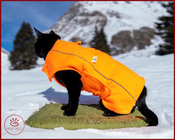 winter cat in puffer jacket meme