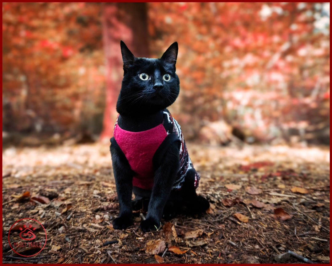 Warm Fleece SWEATER for Cat, Knit Optic Fleece Cat Vest, Polar Fleece