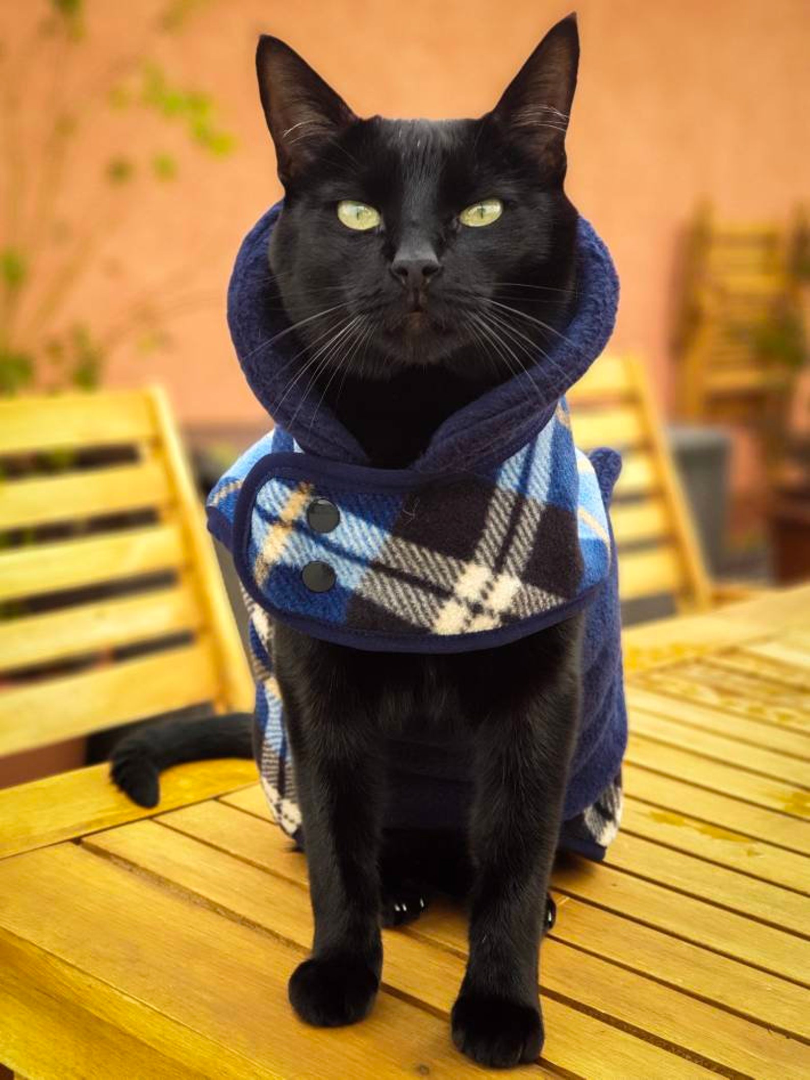 Cat warm vest DOUBLEFACE fleece jacket for cat | Etsy