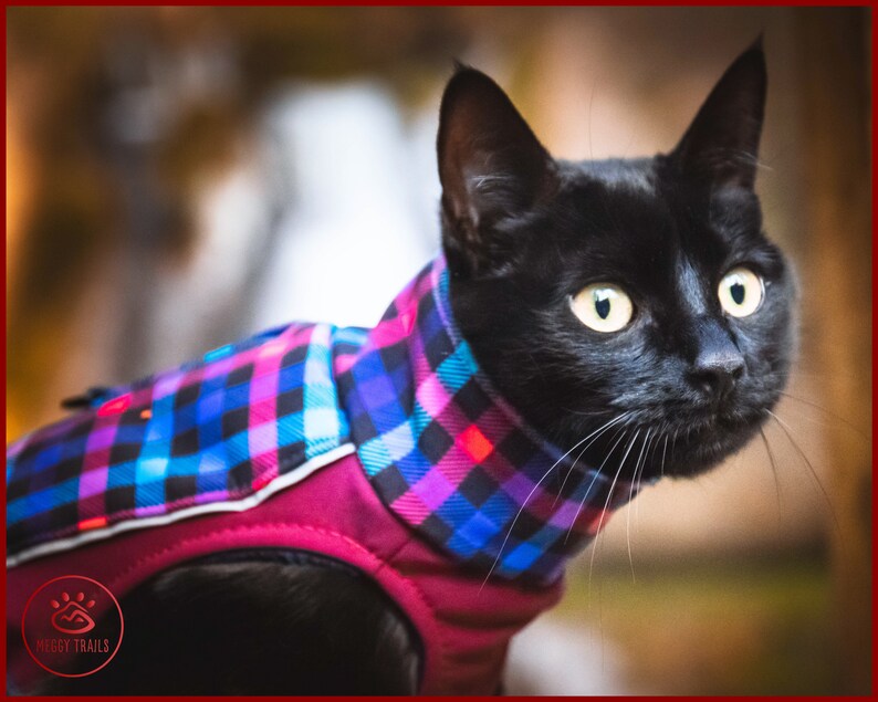 Soft shell cat coat winter cat JACKET winter cat clothes Etsy