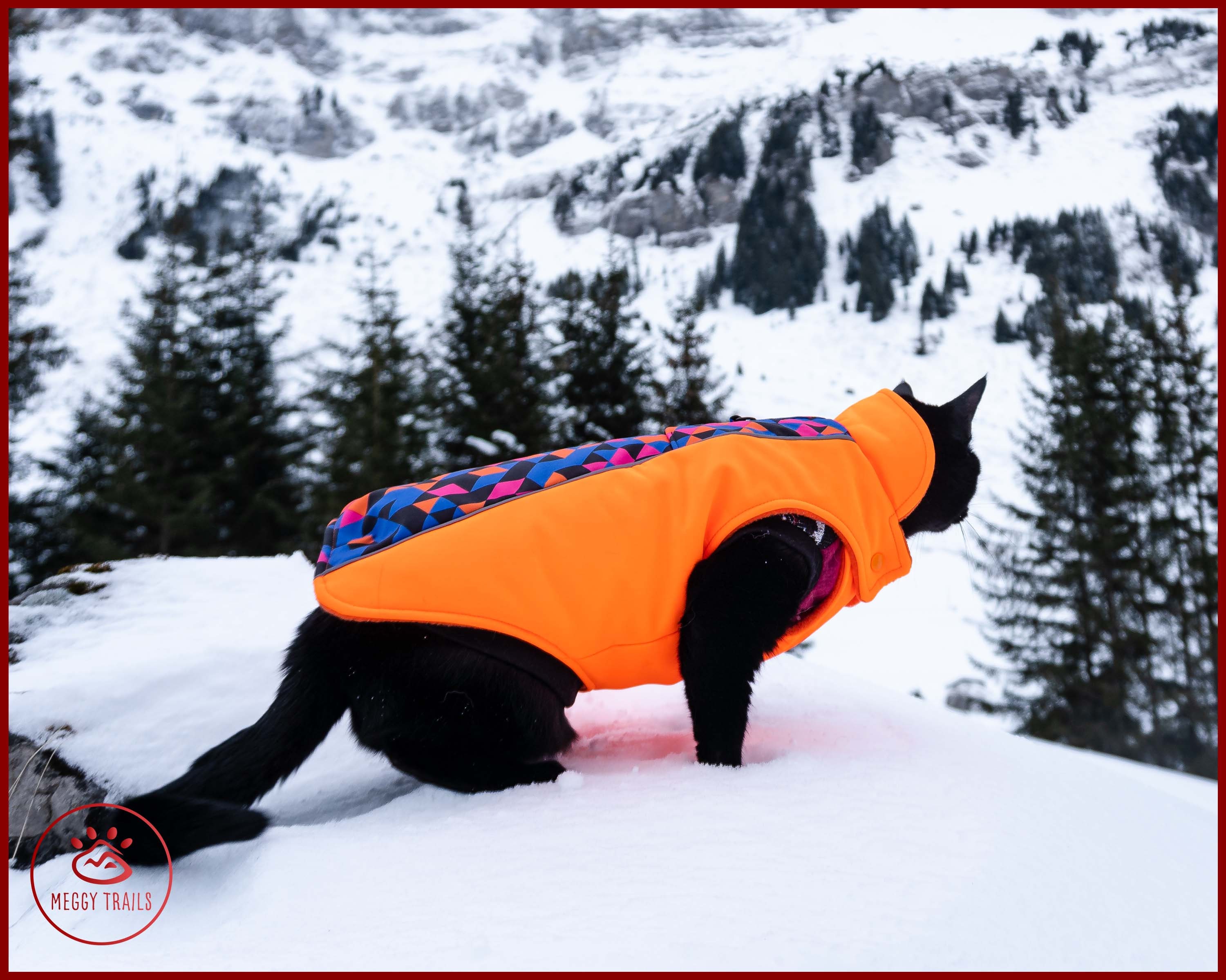 Cat WINTER JACKET Warm Cat Jacket Warm Coat for Cat Etsy Canada