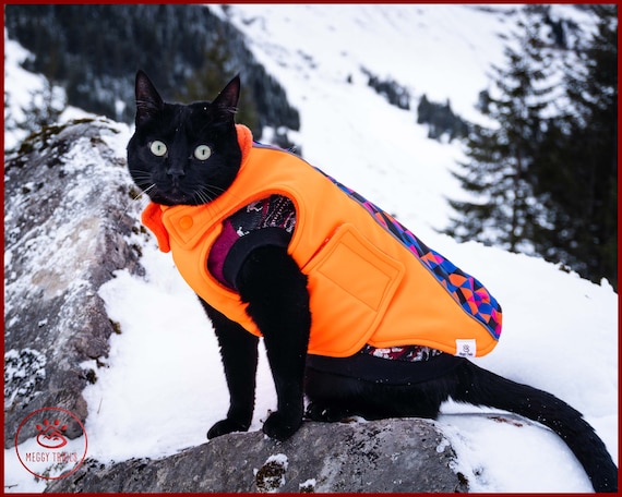 winter cat in puffer jacket