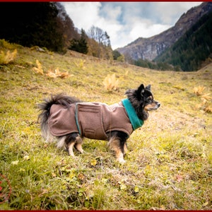 Könnte beinhalten: Ein kleiner schwarz-brauner Hund, der einen braunen Fleece-Mantel mit grünem Besatz trägt, steht auf einer grasbewachsenen Wiese mit Bergen im Hintergrund.