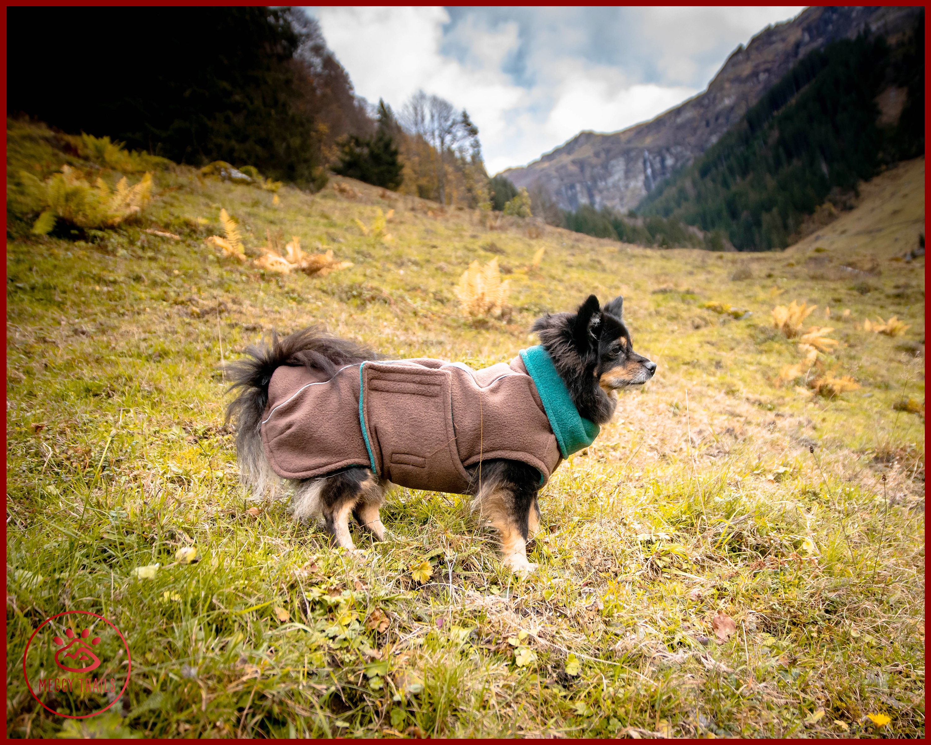 Down coat hotsell for dog