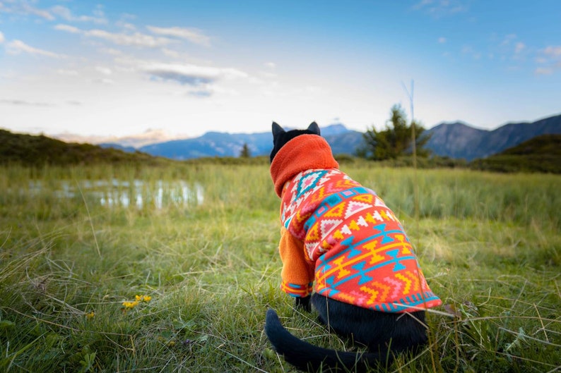 Warm cat fleece sweater, cat hoodie with aztec pattern, cat winter clothes image 4