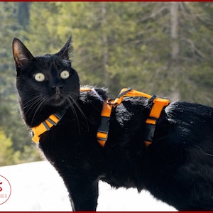 ESCAPE proof CAT HARNESS, Adjustable safety adventure cat harness, Y Front H Style cat training harness, travel cat gear image 7