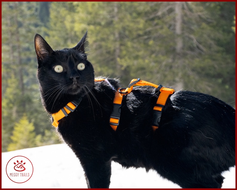 ESCAPE proof CAT HARNESS, Adjustable safety adventure cat harness, Y Front H Style cat training harness, travel cat gear image 7