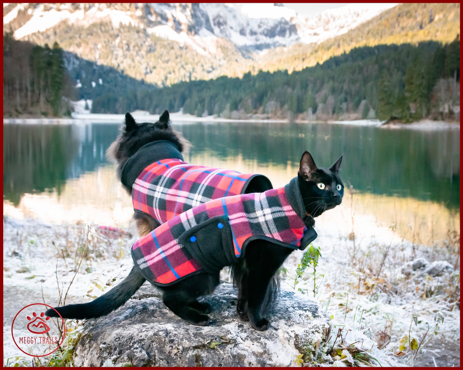 Cat Fleece Jacket Warm Cat Coat Plaid Pattern Jacket for Etsy