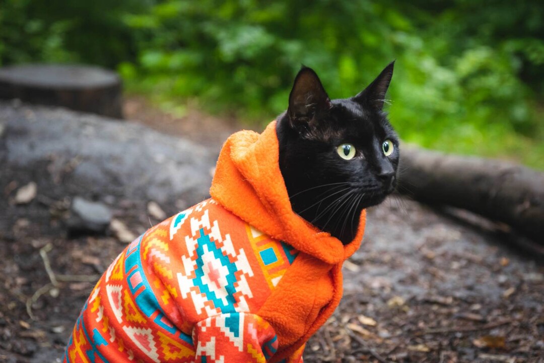 de lana de gato cálido sudadera con capucha de gato - Etsy España