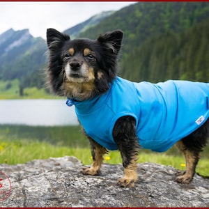 Dog protection vest -  Italia