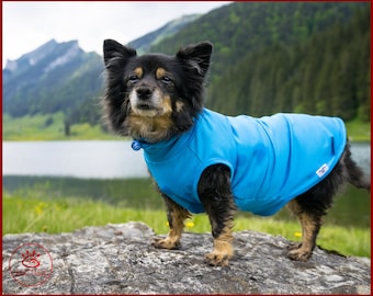 Camicia estiva per cani, protezione solare per cani, camicia rinfrescante per cani, protezione solare per cani