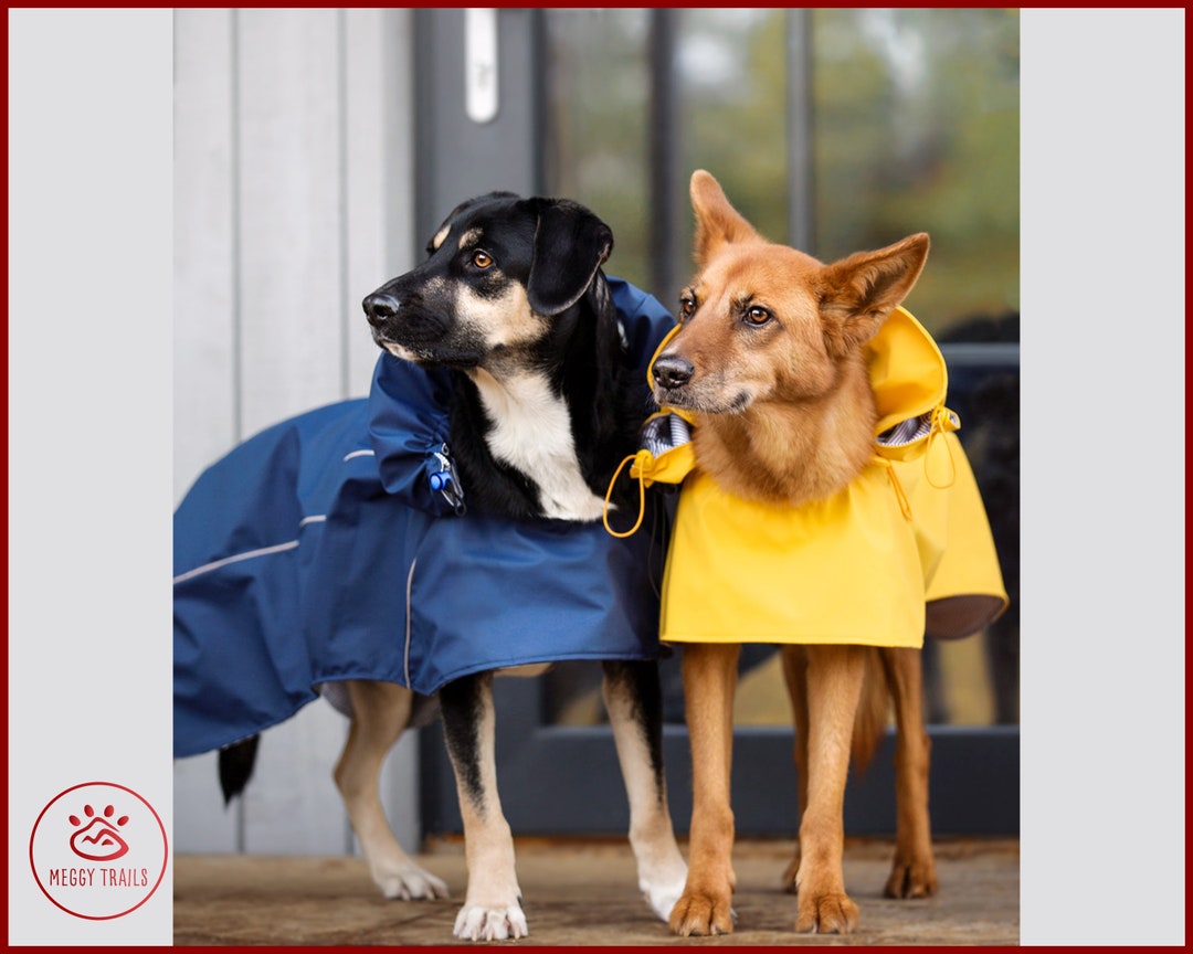 DOG Raincoat Vintage RAIN JACKET for Dog Yellow Raincoat Etsy