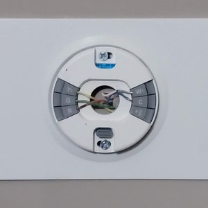 Google Nest-wandplaat