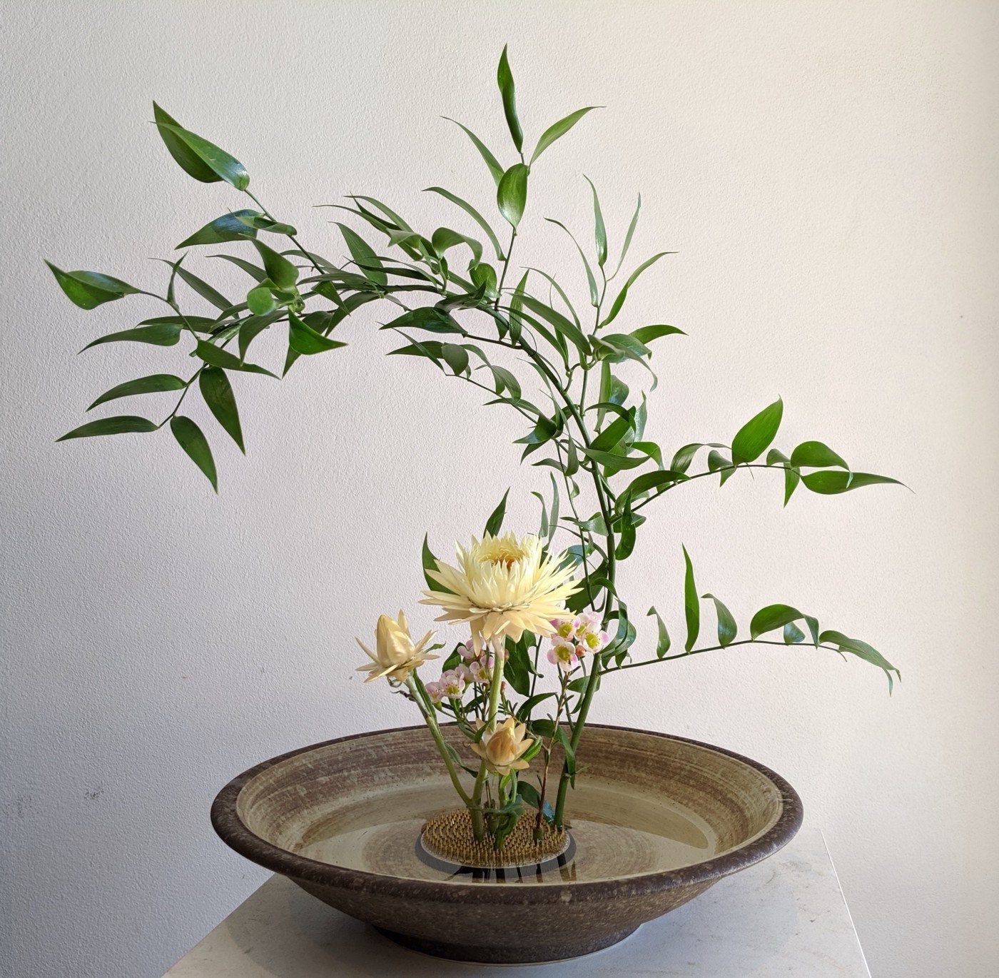 Ikebana flower frog small – Dantes Ceramics