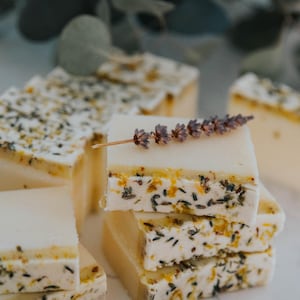 Goats Milk + Tallow Bar Soap - Lavender + Lemon Scented