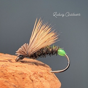 Egg laying Caddis — 3 pack
