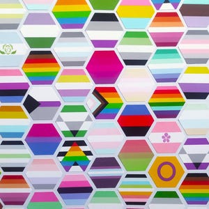 25mm/1in Hexagon Stickers - Small LGBTQ+ Handmade Pride Flag Vinyl Stickers