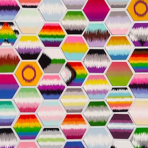 25mm/1in Hexagon Stickers - Small LGBTQ+ Handmade Soundwave Subtle Pride Flag Vinyl Stickers