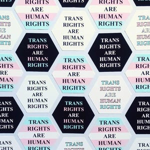 37 mm/1,5 inch zeshoekige stickers - LGBTQ+ handgemaakte vinylstickers Trans Rights Are Human Rights