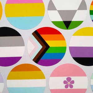 63mm/2.5in Circle Stickers - Jumbo LGBTQ+ Handmade Pride Flag Vinyl Stickers