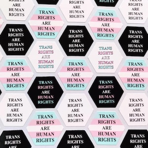 25mm/1in Hexagon Stickers - Small LGBTQ+ Handmade Trans Rights Are Human Rights Vinyl Stickers