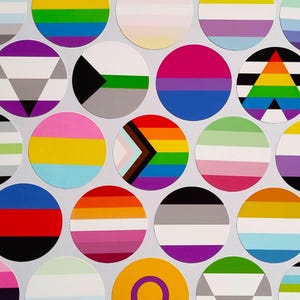 Cirkelstickers van 37 mm/1,5 inch - LGBTQ+ handgemaakte Pride Flag-vinylstickers
