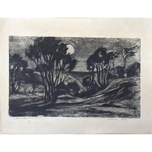 GRANDE ACQUAFORTE ORIGINALE su carta dell'artista sovietico ucraino N.Bozhko, Che notte di luna, 1967, Opera d'arte retrò, Arte grafica, Scena notturna