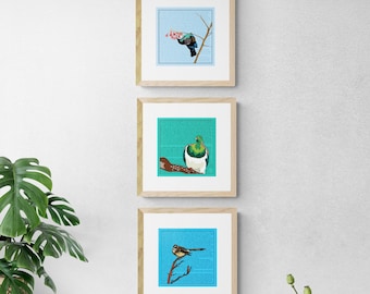 Set of 3 New Zealand Native Birds - Multiple Mix and Match options - Free Shipping