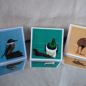 Pack de 5 mix and match - Belles cartes de vœux d’oiseaux natifs de Nouvelle-Zélande conçues à la main