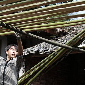 Puede incluir: Un hombre con una camisa a cuadros est&aacute; levantando un haz de ca&ntilde;as de bamb&uacute; para construir una estructura de techo. Las ca&ntilde;as de bamb&uacute; est&aacute;n apiladas unas sobre otras y son sostenidas por los brazos del hombre.