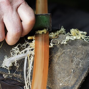 Puede incluir: Una mano usando una peque&ntilde;a herramienta verde para rasurar madera de una pieza larga, delgada y marr&oacute;n de madera. La madera est&aacute; apoyada sobre una superficie de tela oscura con virutas de madera esparcidas alrededor.
