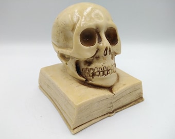 Human Skull, skeleton old, Bottle Opener Skull, memento mori, Halloween Skull, Vintage skull, Tabletop decorative souvenir, Antiques (9)
