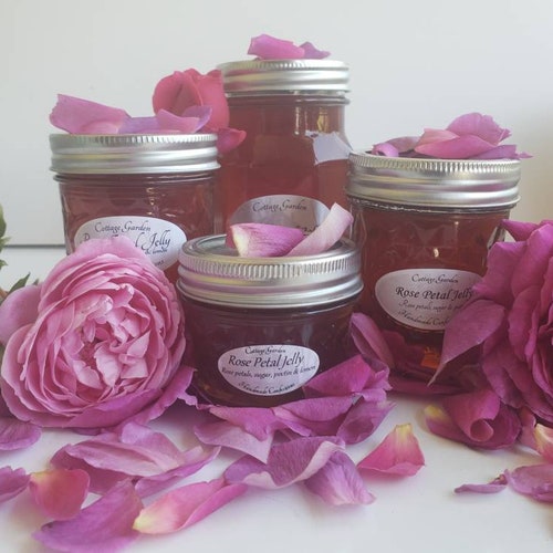 Rose Petal Jelly Handmade From My Garden's Fragrant Etsy