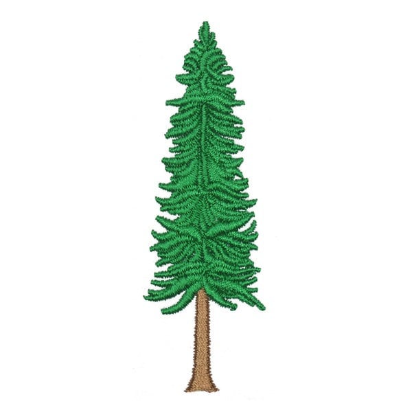 Redwood Tree Embroidery Design - Instant Download