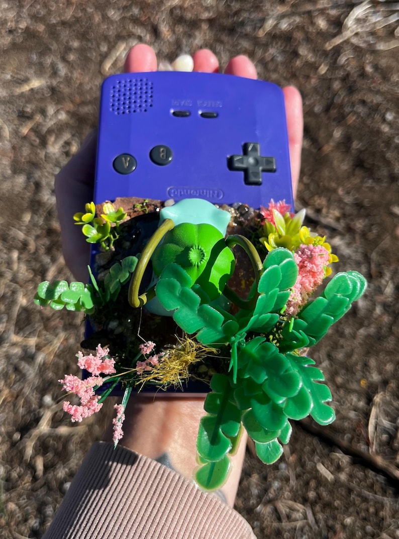 Bulbasaur Gameboy Color Terrarium - Etsy