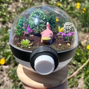 Slowpoke Terrarium