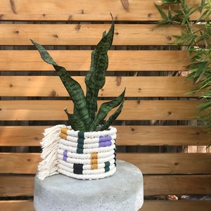 May include: A potted snake plant in a white macrame planter with purple, yellow, and black accents. The planter is sitting on a concrete stool with wooden legs.
