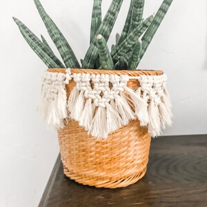 May include: A green snake plant in a woven basket with a white crocheted trim. The basket is sitting on a dark wood surface.