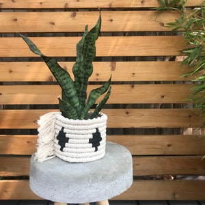 Puede incluir: Una planta serpiente en maceta en un macetero de macramé blanco con diseños geométricos negros se encuentra sobre un taburete de hormigón con patas de madera. La planta está delante de una pared de listones de madera.