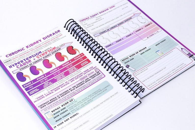 The Nurse Workbook 2.0 Paperback image 8