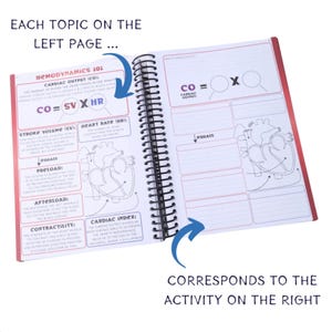 The Nurse Workbook 2.0 Paperback image 4