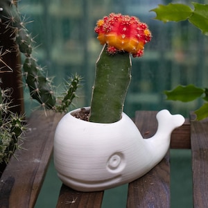 3D Printed Whale Planter
