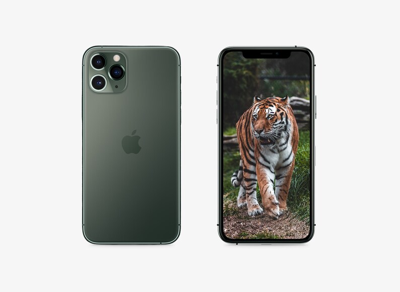 Iphone 11 Pro Hd Wallpaper Tiger Wallpaper Iphone Iphone Accessory Iphone Background Tiger Art Iphone 11