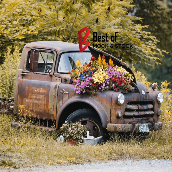 Stock Photography, Digital Download, Vintage Truck, Country, Add Your Text, Add Your Logo, High Quality Digital Image, Stock Photo